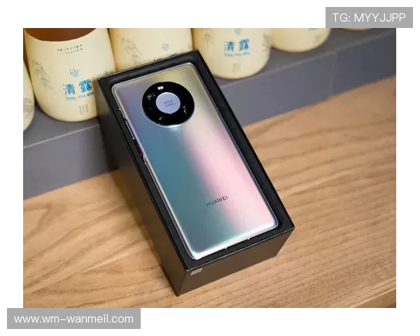 深入探讨贝斯特BST818手机版的功能与使用体验